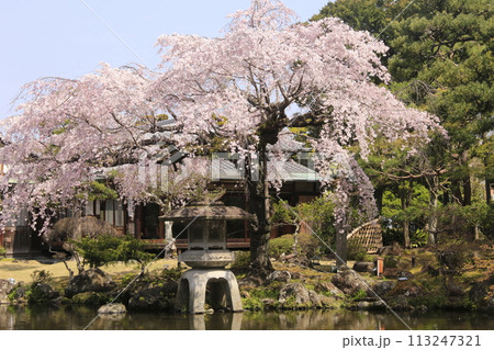 池のある庭園 113247321