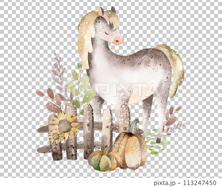 Watercolor cartoon horse.Cute pony stands near a fence with pumpkins.Stallion posing on a white background. Children hand drawn illustration of livestock. Pet in nature with harvest and sunflower. 113247450