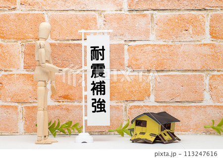 耐震補強を示すマネキンと倒壊した住宅 113247616