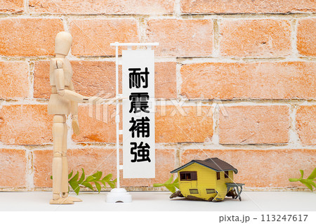 耐震補強を示すマネキンと倒壊した住宅 耐震補強を示すマネキンと倒壊した住宅 113247617