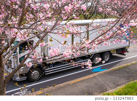 桜の花とトラックで春の新生活のイメージ 桜の花とトラックで春の新生活のイメージ 113247983