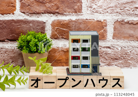 マンションの見学会もしくはオープンハウス マンションの見学会もしくはオープンハウス 113248045