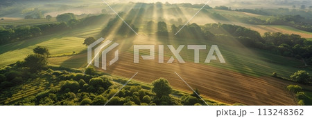 Bird's eye view of agricultural cultivated seeded fields, farmland in the rays of the rising sun, banner 113248362
