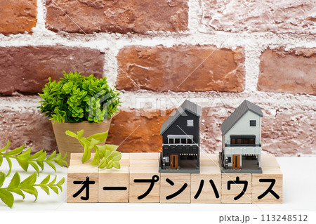 戸建て住宅の見学会もしくはオープンハウス 戸建て住宅の見学会もしくはオープンハウス 113248512