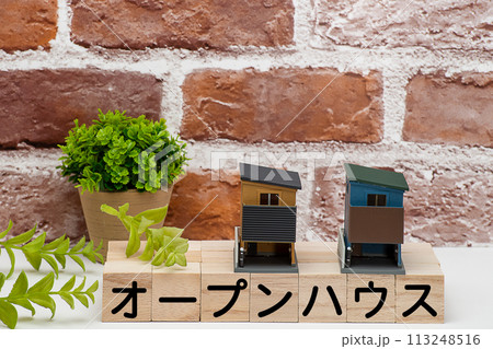戸建て住宅の見学会もしくはオープンハウス 113248516