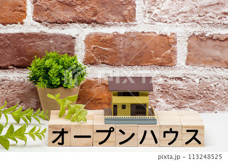 戸建て住宅の見学会もしくはオープンハウス 113248525