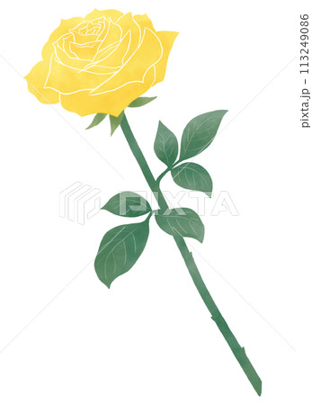 一輪の黄色いバラ 一輪の黄色いバラ 113249086