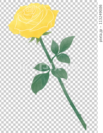 一輪の黄色いバラ 一輪の黄色いバラ 113249086