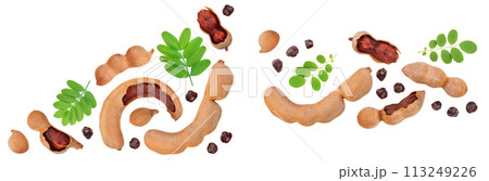 Tamarind fruit with seed isolated on white background with copy space for your text. Top view. Flat lay 113249226