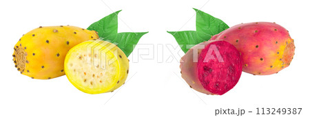 yellow and red prickly pear or opuntia with half isolated on a white background 113249387