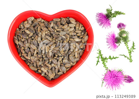 Seeds of a milk thistle or Silybum marianum, Scotch Thistle, Marian thistle in ceramic bowl with flower isolated on white background. Top view 113249389
