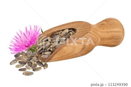 Seeds of a milk thistle or Silybum marianum, Scotch Thistle, Marian thistle in wooden scoop isolated on white background 113249390
