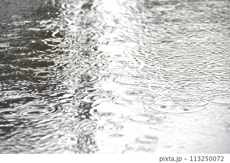 アスファルトの道路の水たまりに打つつける雨の水紋 アスファルトの道路の水たまりに打つつける雨の水紋 113250072