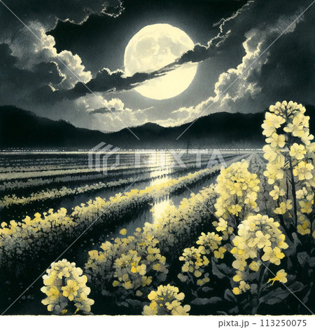 月に照らされる菜の花畑 月に照らされる菜の花畑 113250075