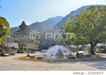 《岐阜県》岐阜市岐阜公園 《岐阜県》岐阜市岐阜公園 113250223