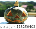 ハロウィンのかぼちゃ 113250402