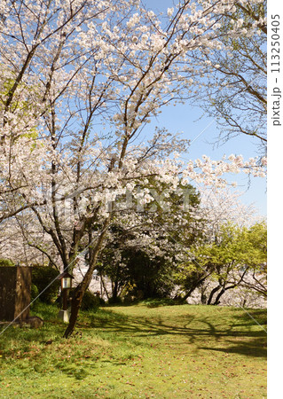 桜のある風景 桜のある風景 113250405