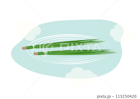 薬湯の一つ、しょうぶ湯のイメージイラスト 113250420