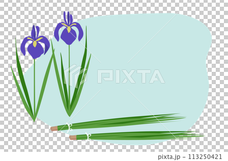 Illustration of a medicinal bath, iris bath 113250421