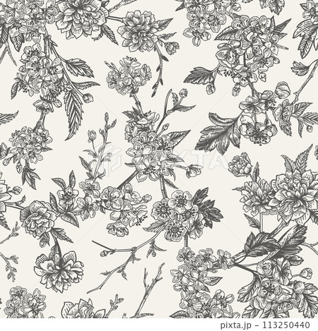 Floral garden seamless pattern with garden tree branches. Cherry, hawthorn and Japanese kerria. Spring background with flowers. Black and white 113250440