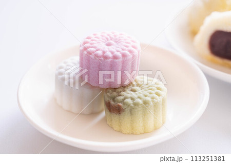 伝統菓子 落雁 伝統菓子 落雁 113251381