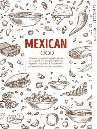 Mexican food menu, burrito and spicy dishes vector 113251473