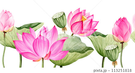watercolor seamless border with pink lotus flower and leaves, hand drawn illustration of spa and yoga theme, sketch of purple water lily with buds in water, Asian tropical flower on white background 113251818