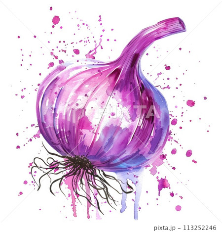 Dynamic watercolor illustration of a purple onion with energetic splashes of color Dynamic watercolor illustration of a purple onion with energetic splashes of color 113252246