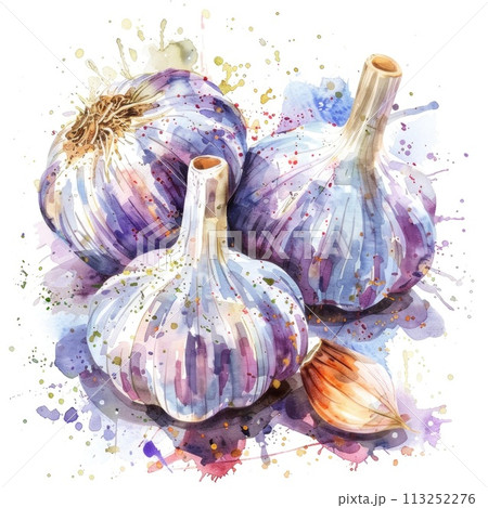 A striking watercolor depiction of garlic bulbs with earth-toned splashes A striking watercolor depiction of garlic bulbs with earth-toned splashes 113252276