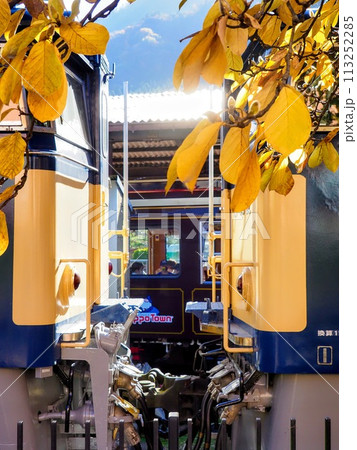 黄葉から覗く電車 黄葉から覗く電車 113252285