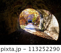 アプトの道、トンネルの先に待つ紅葉 113252290
