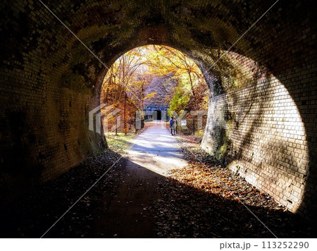 アプトの道、トンネルの先に待つ紅葉 113252290