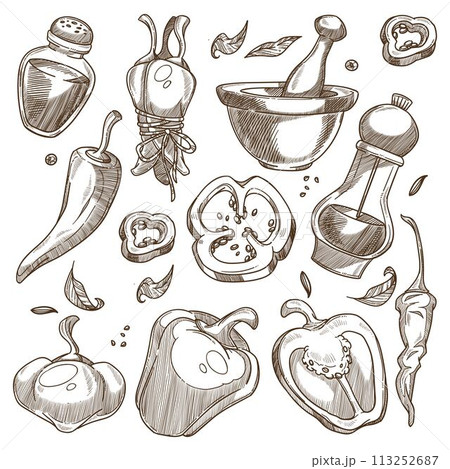 Organic pepper mix, natural spices for food sketch 113252687