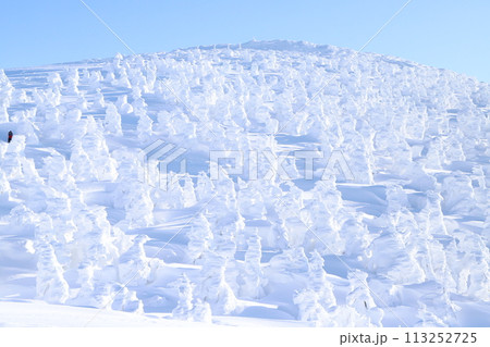 雪の蔵王 雪の蔵王 113252725