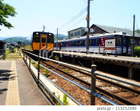 駅に停車する電車 113252890