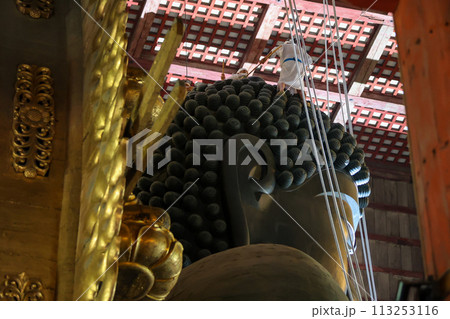 東大寺大仏殿　盧舎那仏 113253116