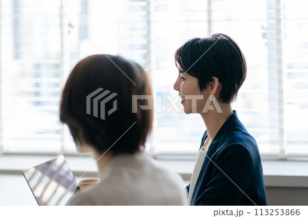 ミーティングで打ち合わせするビジネスウーマン 113253866