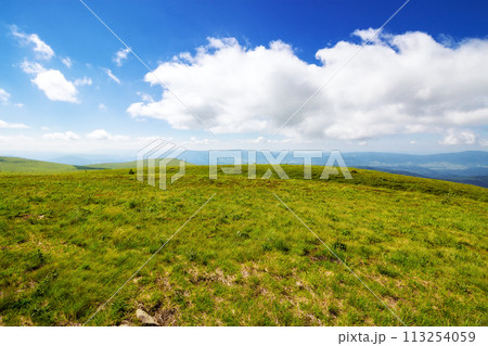 alpine grassy meadow. carpathian landscape of ukraine on a sunny summer day. mountainous scenery beneath a blue sky with fluffy clouds alpine grassy meadow. carpathian landscape of ukraine on a sunny summer day. mountainous scenery beneath a blue sky with fluffy clouds 113254059