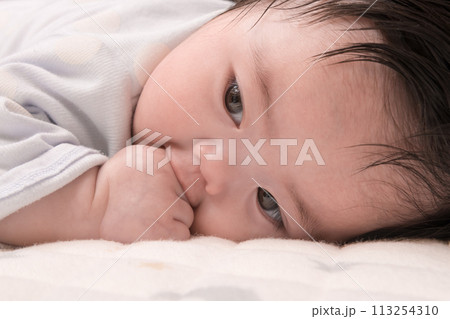 【指しゃぶりする赤ちゃん　うつぶせ】 113254310