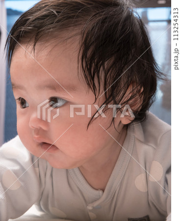 【うつぶせで顔を上げる赤ちゃん】 113254313