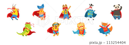Animals Dressed As Superheroes with Cape And Mask Vector Set 113254404