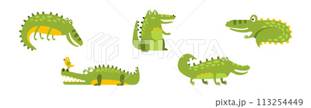 Funny Green Crocodile Character In Different Pose Vector Set Funny Green Crocodile Character In Different Pose Vector Set 113254449