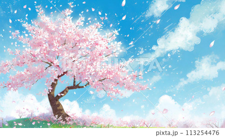 満開の桜 113254476