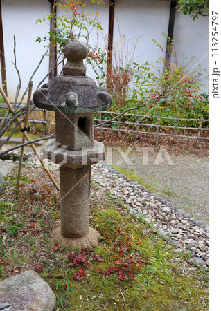 富田林市寺内町　旧家　庭　蹲つくばい　灯籠 113254797