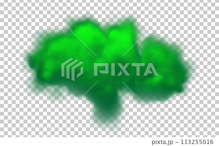 緑色の煙、雲のイラスト 113255016