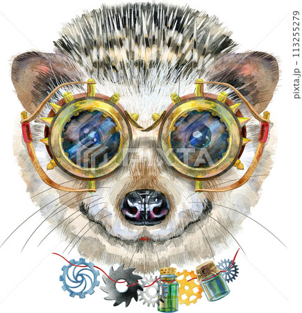 Watercolor portrait of a hedgehog with goggles. on white background Watercolor portrait of a hedgehog with goggles. on white background 113255279