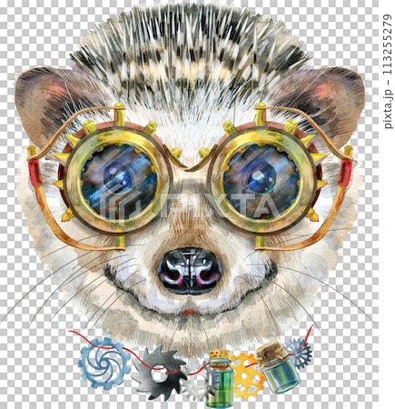 Watercolor portrait of a hedgehog with goggles. on white background Watercolor portrait of a hedgehog with goggles. on white background 113255279