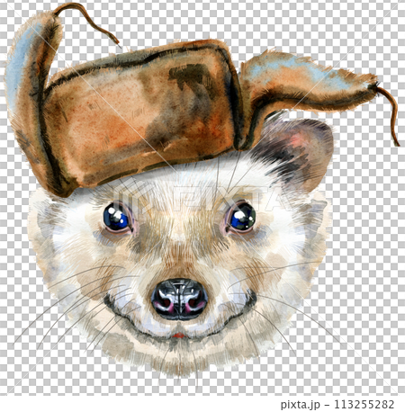 Watercolor portrait of a hedgehog in hat on white background 113255282