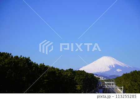 茅ヶ崎147号線の歩道橋から見た富士山冠雪風景 113255285