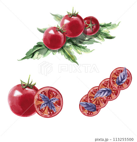 Three sets of tomatoes and slices on leaves in watercolor illustration on a white background. Hand drawn illustration of tomatoes for cookbooks, dessert recipes and rustic organic products Three sets of tomatoes and slices on leaves in watercolor illustration on a white background. Hand drawn illustration of tomatoes for cookbooks, dessert recipes and rustic organic products 113255500